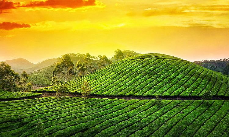 Kerala_Summary.jpg